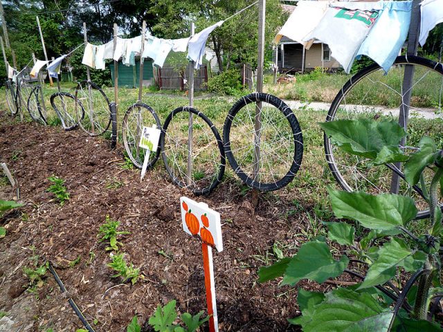 vtborel's tweet photo. Next Gen #UrbanFarming is Here to Stay https://t.co/I4JiO6SH3w via @legal_reader https://t.co/BhOPWGbjUs