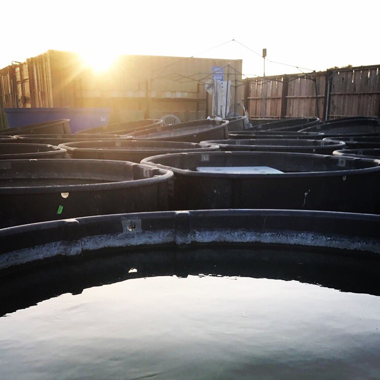 Doriane Weiler tweet media