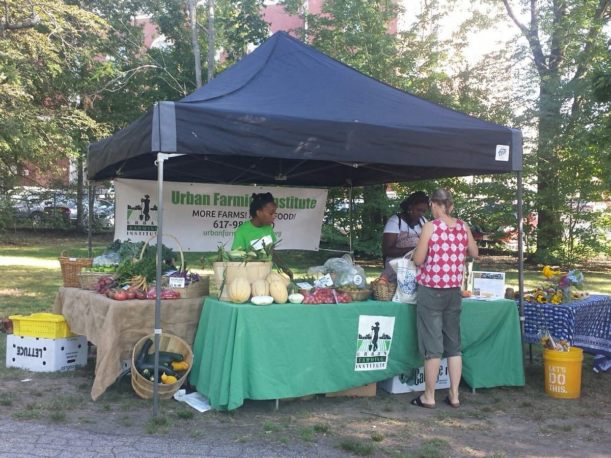 TMISCI's tweet image. UFI is back @ Thursdays on the Lawn. Come on by for cherry tomatoes, sweet corn,  flowers, canteloupe, eggplant,  heir loom tomatoes &amp;amp; more!