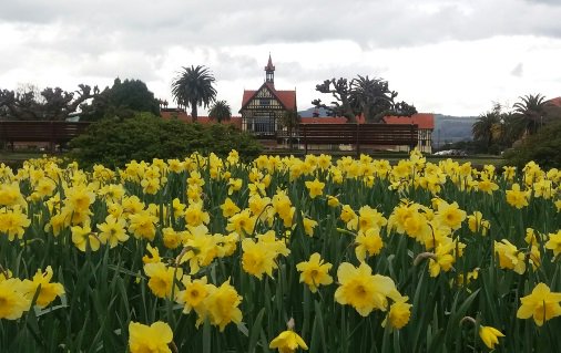 Spring has sprung early! Free guided tours of the gardens by Rotorua Museum. rotoruamuseum.co.nz/events/details…