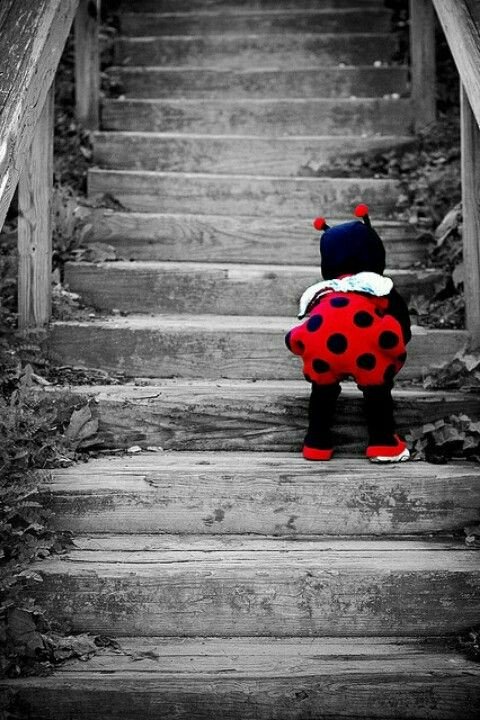 CrystalRain1414's tweet image. Baby steps are still Growth.
 Progress IS key.
 #FLYINGSOON #WRITING