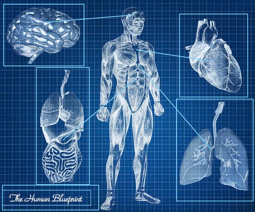 Why choose us? We create a customized blueprint that charts a path to your highest level of function: ow.ly/MXrO30euvoD #health