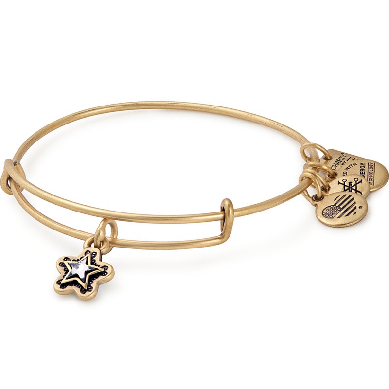 MakeAWishAL's tweet image. You can show your support for wish kids with the @alexandani #TrueWish bangle, which benefits @MakeAWish!  bit.ly/2umAQn7