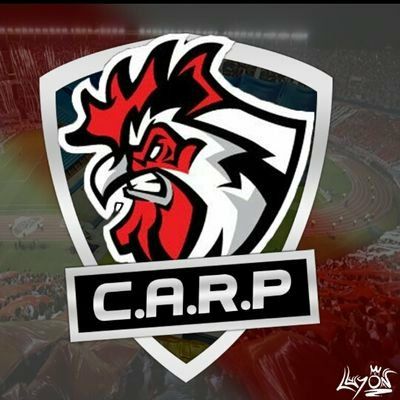 Copa_Arg's tweet photo. BIENVENIDOS A CARP @CARP3_Royale https://t.co/2yI6by0smw