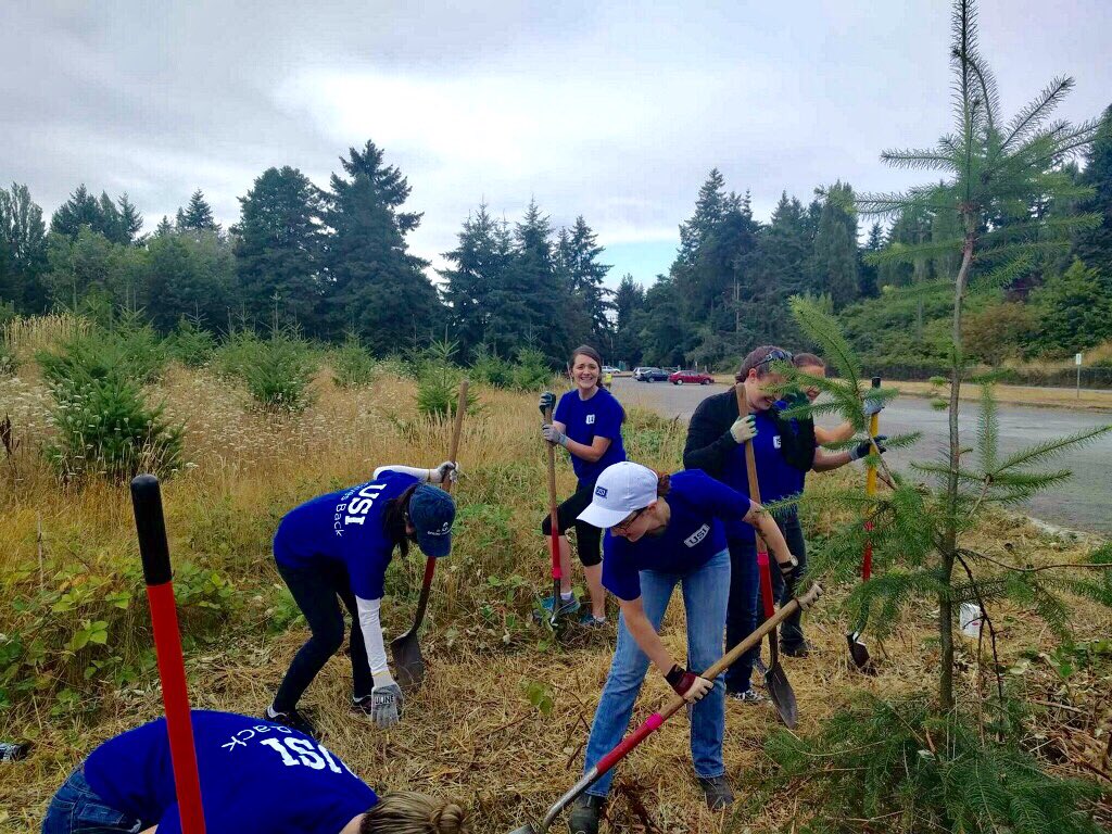 kibbleprentice's tweet image. Blackberry brambles were no match for this crew! USI Gives Back volunteers with Earth Corps at Discovery Park. @EarthCorps #usigivesback
