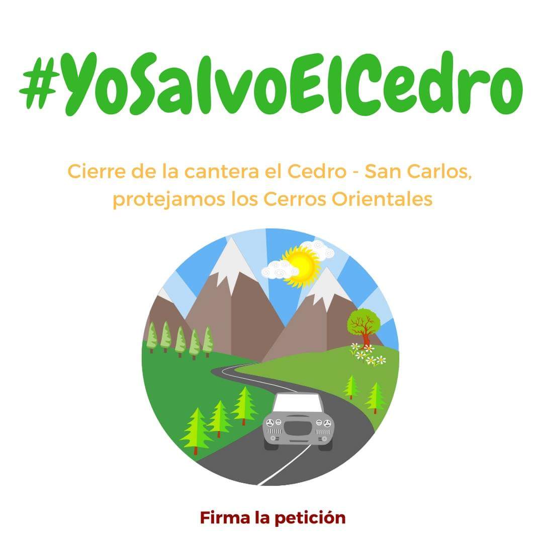 ddbourne's tweet photo. #YoSalvoElCedro porque quiero respirar aire puro en #Bogotá. Firma la petición: https://t.co/efFYQarOk1 https://t.co/gEij3gyIBS