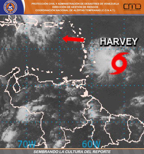 Ver imagen en Twitter Ver imagen en Twitter