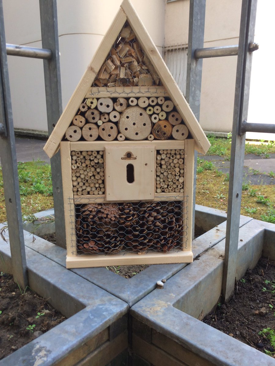 Manon_YM69's tweet photo. Contente d'avoir pu participer à ce joli projet.Merci @EstherSimen d'avoir offert aux locataires de Villa Urbana ce lieu de partage. 🌱 https://t.co/uJ2tPZnsaH