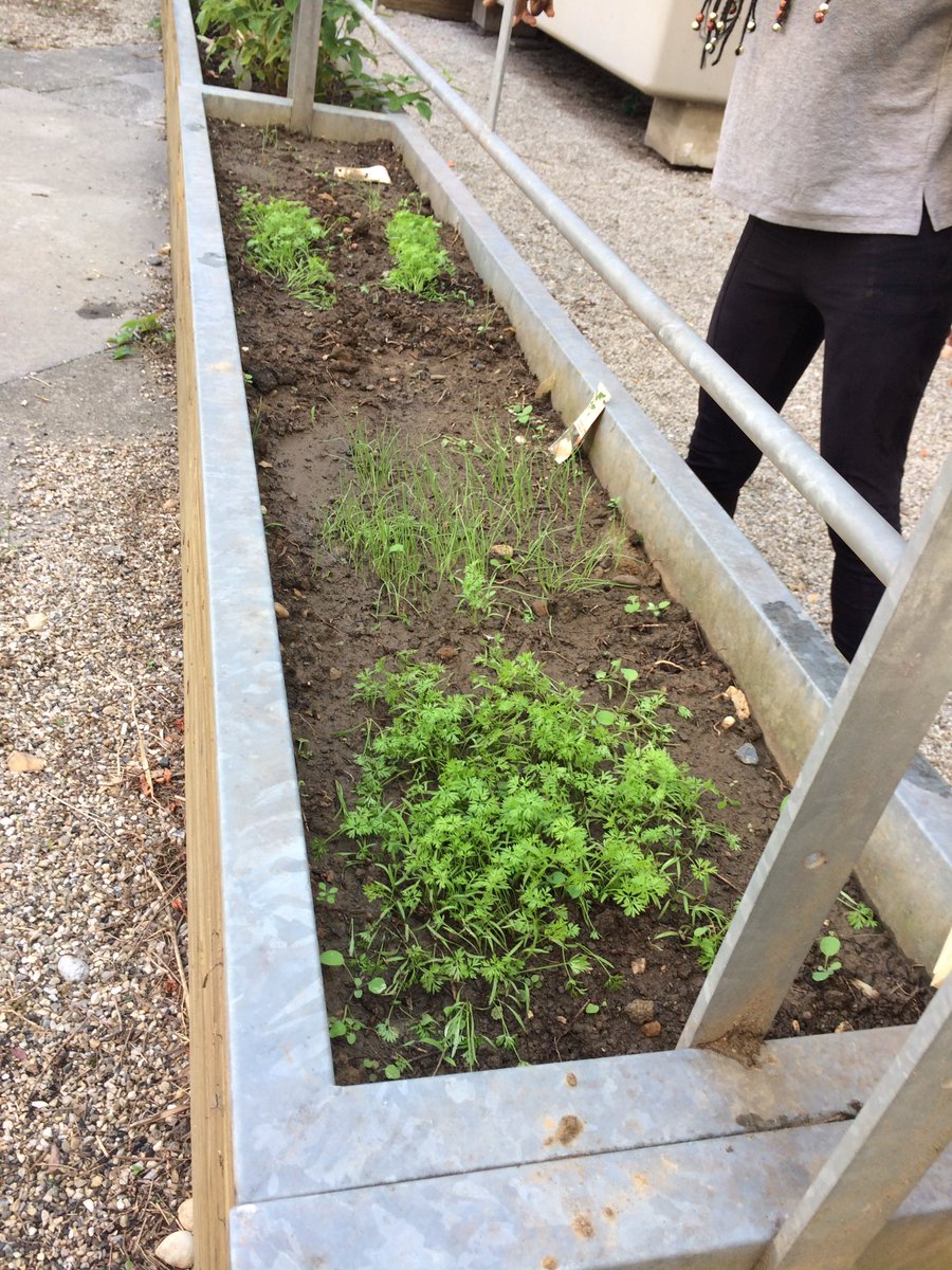 Manon_YM69's tweet photo. Contente d'avoir pu participer à ce joli projet.Merci @EstherSimen d'avoir offert aux locataires de Villa Urbana ce lieu de partage. 🌱 https://t.co/uJ2tPZnsaH