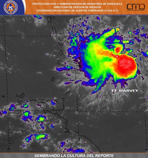 Ver imagen en Twitter Ver imagen en Twitter