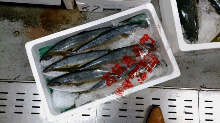 勘助 市場直送 海鮮お刺身 食べ放題 勘助ではランチから宮崎産かつお 特製あら汁をご用意しております 18日のディナーは定番のお刺身や海鮮お惣菜に加え 福岡産ひらまさと仙台産いさき わらさカマ塩焼きと鮪カマ煮付でお待ちしております 当日の