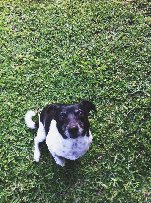 Watch heyimbee's leaked NSFW photo on TwXstars