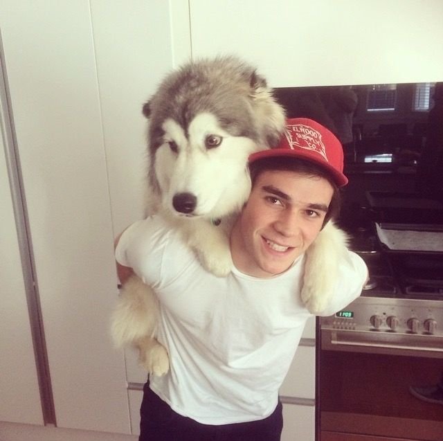 I think I found Balto.