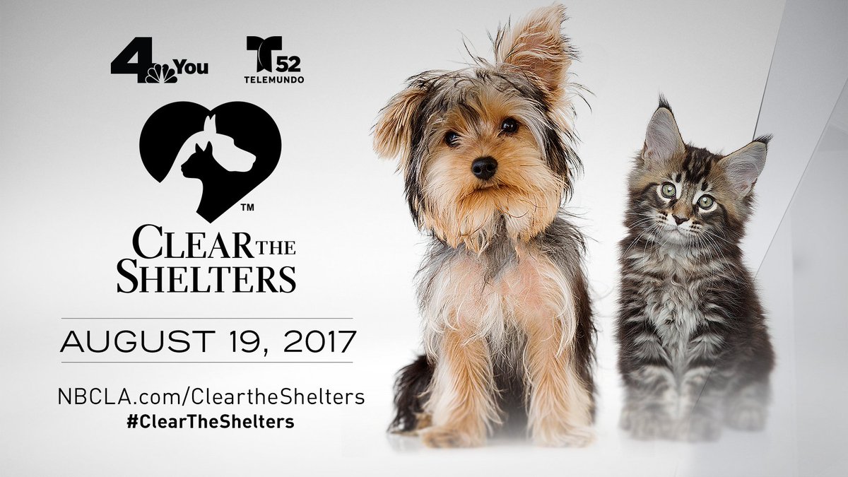 LACityPets's tweet photo. $20 adoption fees for dogs and cats at LA City Shelters this Sat. 8/19, 8am-5pm. Help us #ClearTheShelers hosted by @NBCLA and @TELEMUNDO52. https://t.co/bQZZ1J0uzC