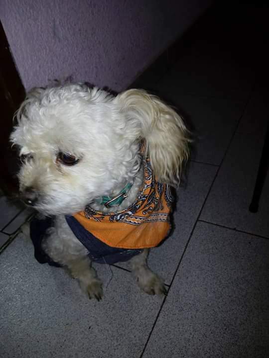 Addiz Chumiz tweet media