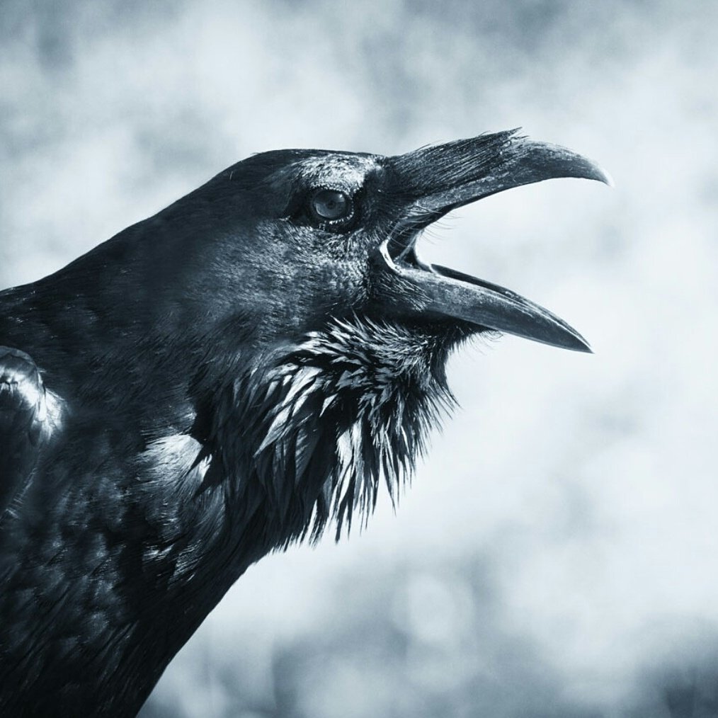 m.facebook.com/story.php?stor…