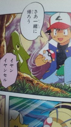 Djあっちゃん きつめのやばい Twitterren 昔のポケモンでトランセルが イヤン イヤンセル って 喋ってるのを知ってる人は どれぐらいいるのだろうか