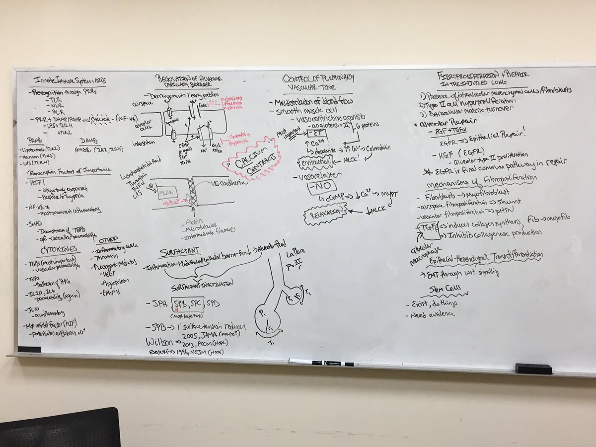 Molecular Basis of