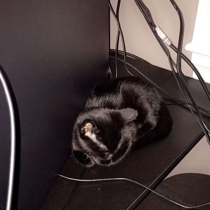 ItsYeBoi's tweet photo. I'm in love 😍😍 https://t.co/G8TluINzpZ
