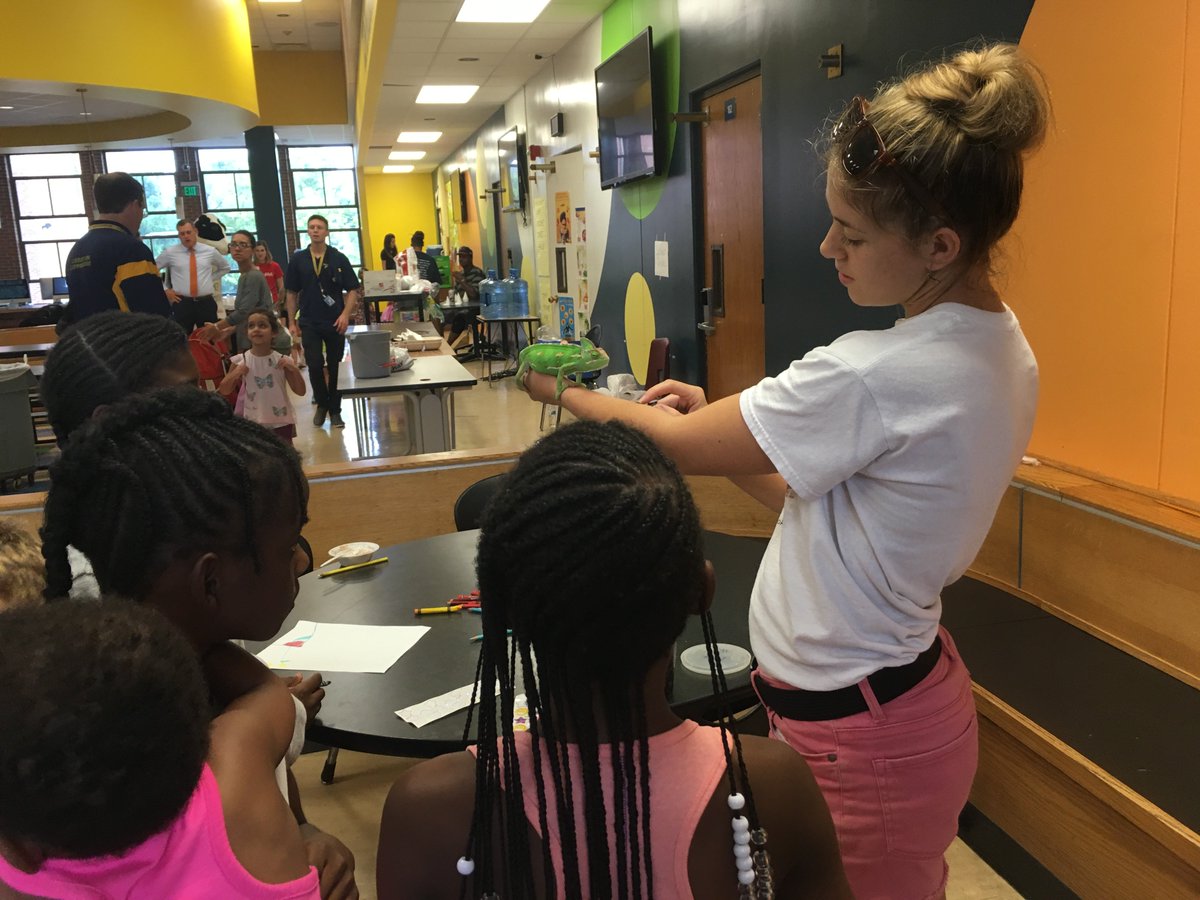 TheDrawingZoo's tweet photo. Everyone had a blast at this meet n greet tonight! @arts4learning #summerreads #chameleons https://t.co/VlOnxc5oKo