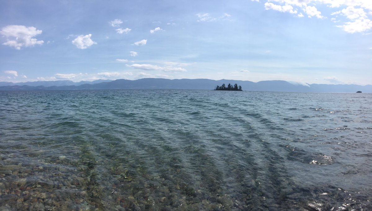 savageglobetrot's tweet photo. Water is choppy today but we are going to brave it in the kayaks! #lake #lakeflathead #montana #kayak #brave #justdoit https://t.co/UY2KnzoTWt