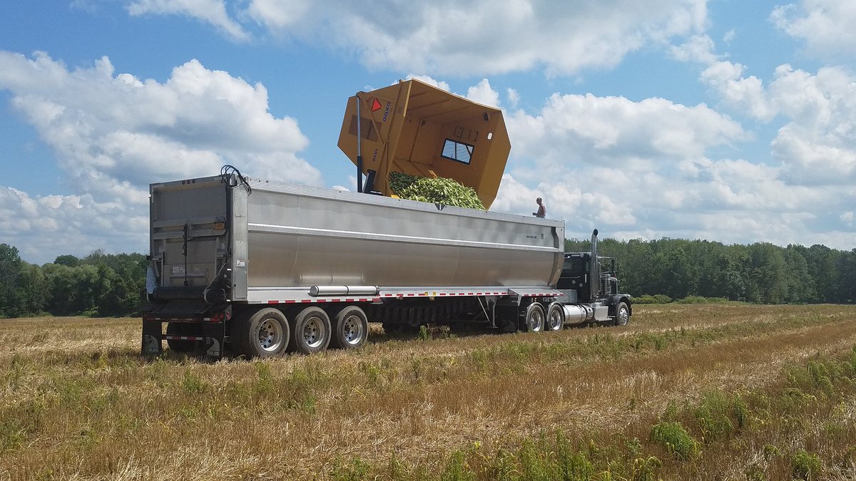 CCE Cornell Veg Prog tweet media