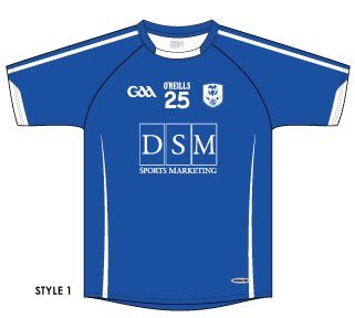 DSM is a proud sponsor of <a href="/TampaBayGAA/">Tampa Bay Hurling</a>