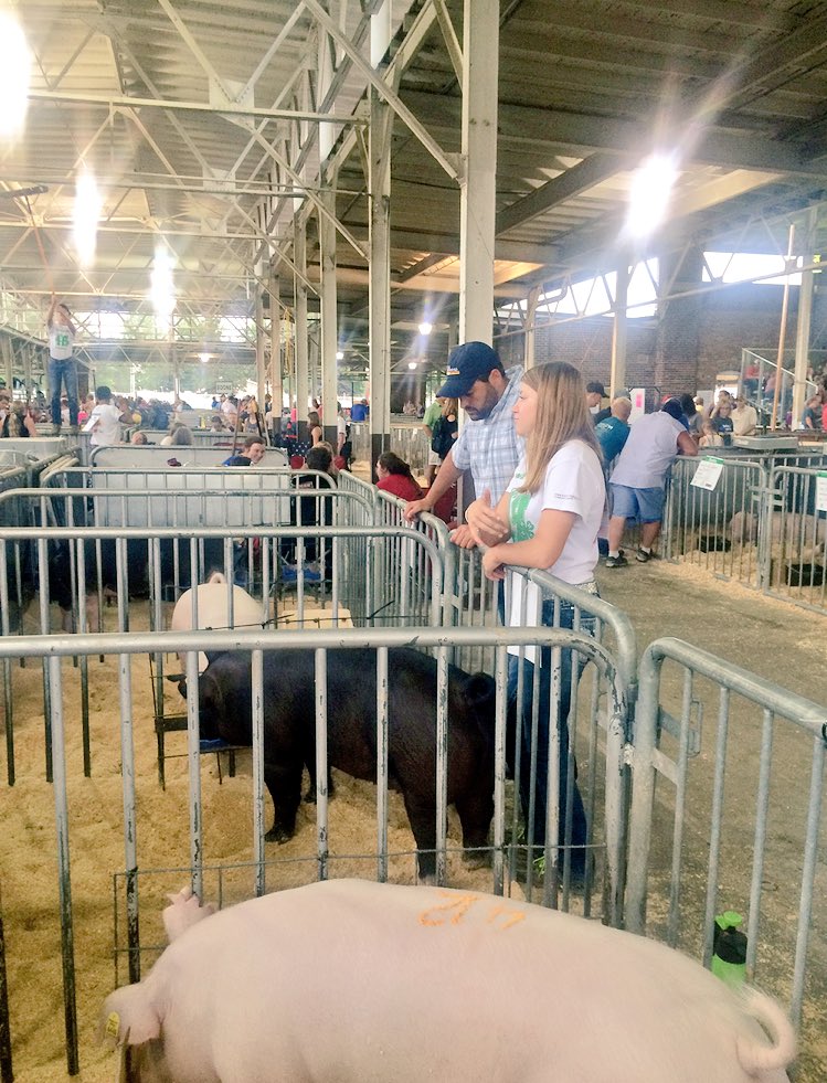 Kohlhaascattle's tweet photo. Our helper, Maddie, comes to the farm to learn about club calves, but meanwhile teaches us a thing or two about her 4-H swine project! https://t.co/gFpvXmhuUM