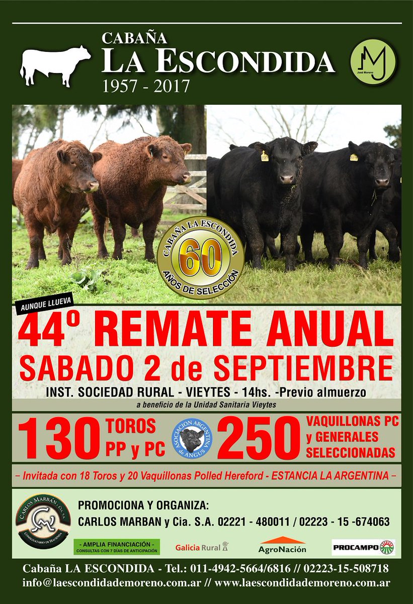 AngusAsocArg's tweet photo. Sab. 02 de Septiembre - La Escondida - Vieytes, PBA. https://t.co/A0zg49UaS6
