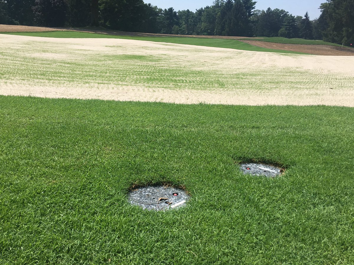 golftour11's tweet photo. Infinity helping germination in 6 days. @greenacresgc #toroinfinity #greensideup https://t.co/YQGpYlt9DX