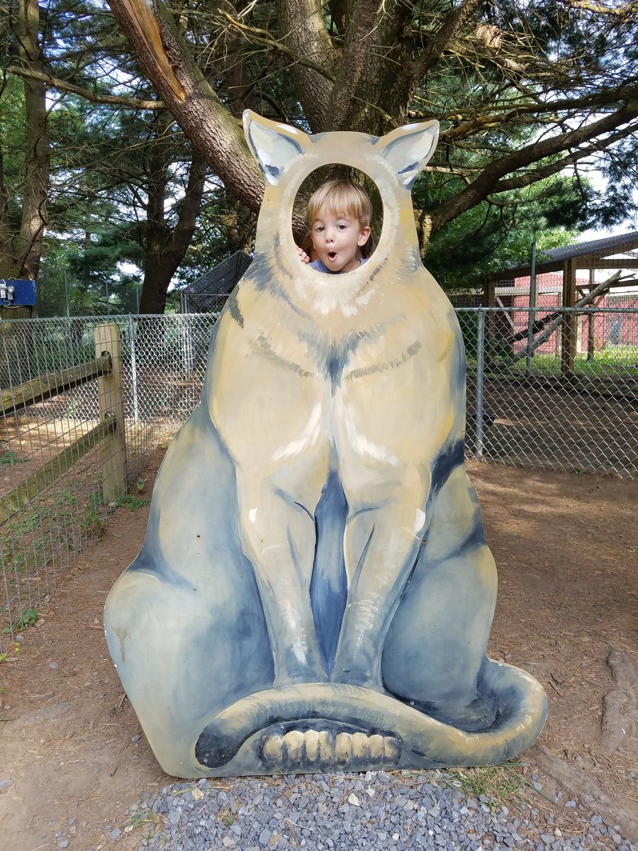 ssamanka's tweet photo. Owens very first head in hole photo!
#headinhole
#farmersinn
#pettingzoo
#animallover
#bigcat
#Pennsylvania https://t.co/VFEPsE5tM1