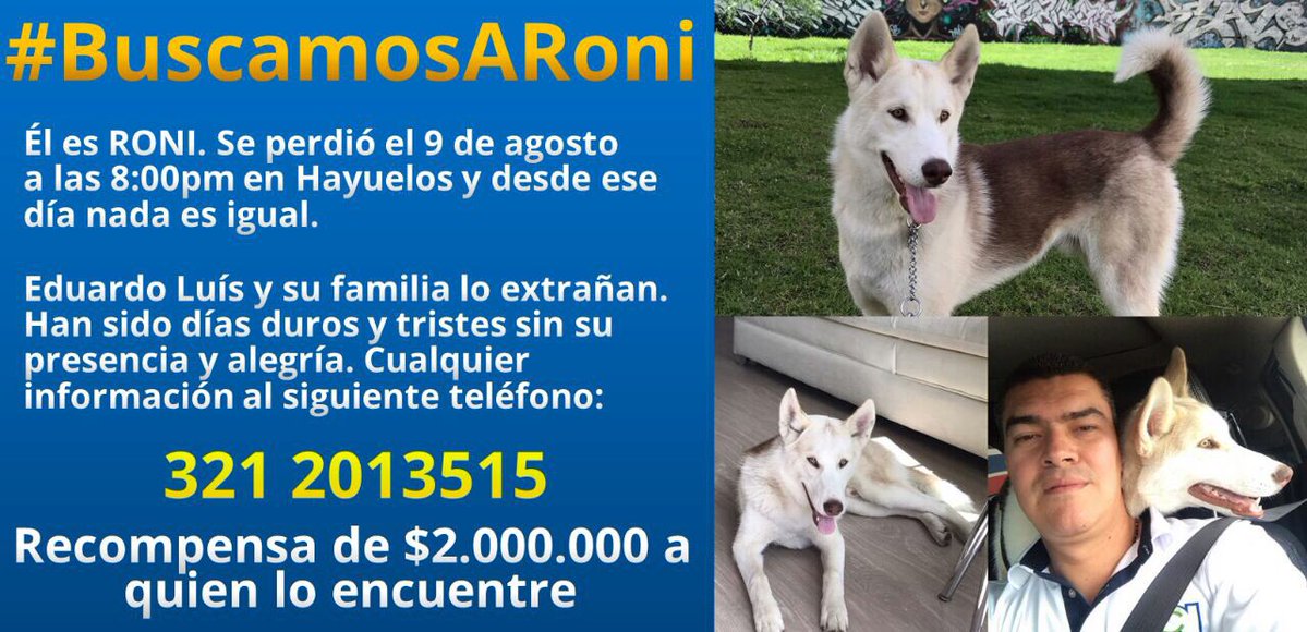 MillosFC's tweet photo. Dale RT no lo hagan pensando en el dinero, piensen en que más que un perro, es parte de la familia y están sufriendo por su ausencia. https://t.co/vLWJd4J3A3
