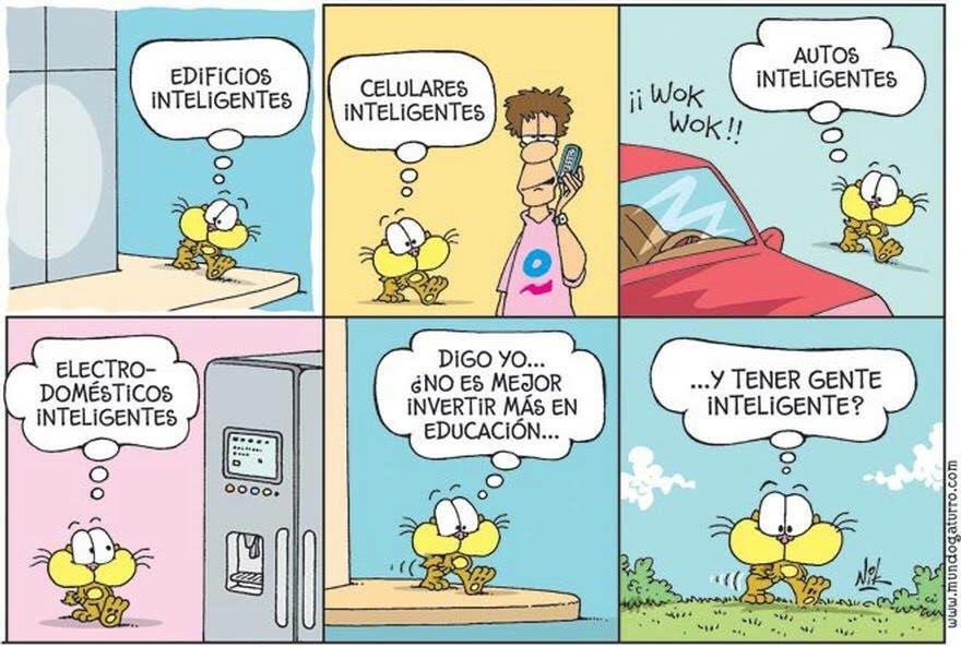 Nikgaturro's tweet image. Gaturro de la noche...