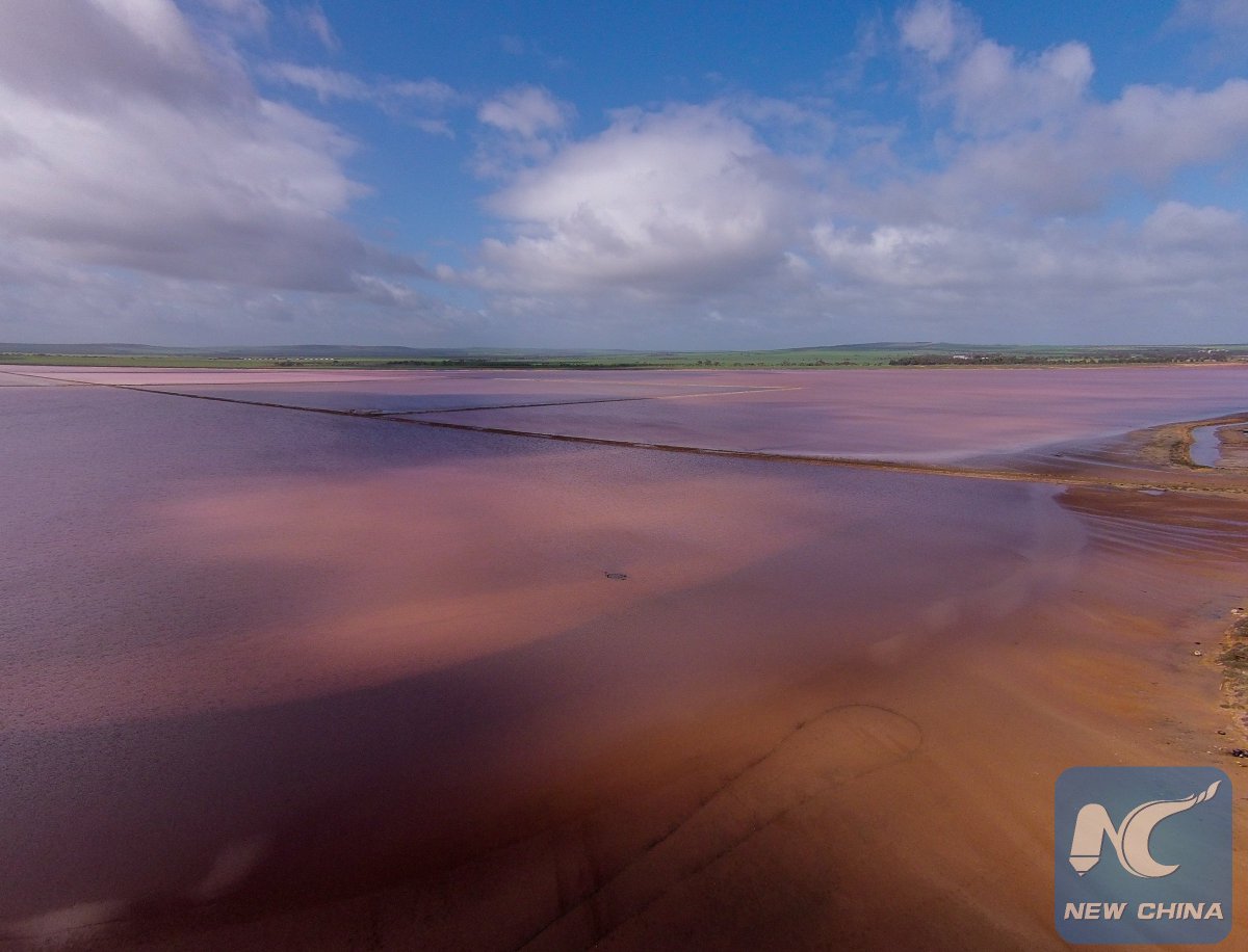XHNews's tweet photo. A lake from fairy tale! Lake #Bumbunga of Australia is famous for its pink water https://t.co/dXHXPluL7H