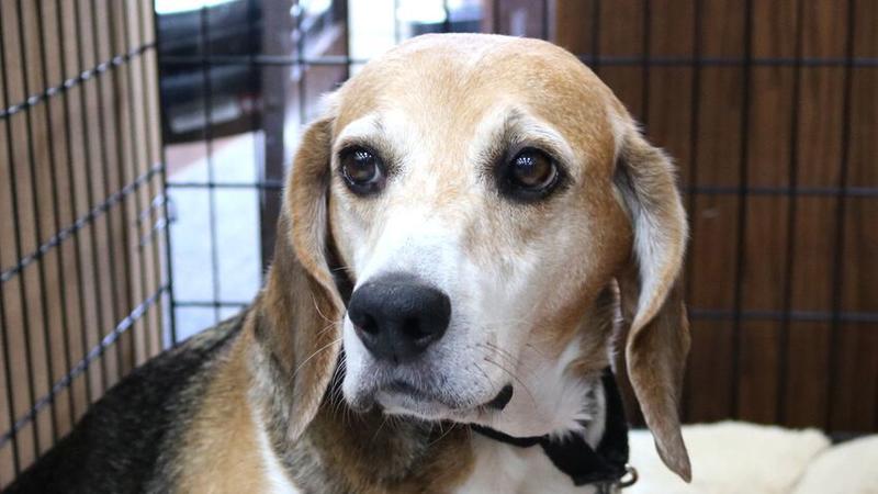 Chicago Tribune tweet media