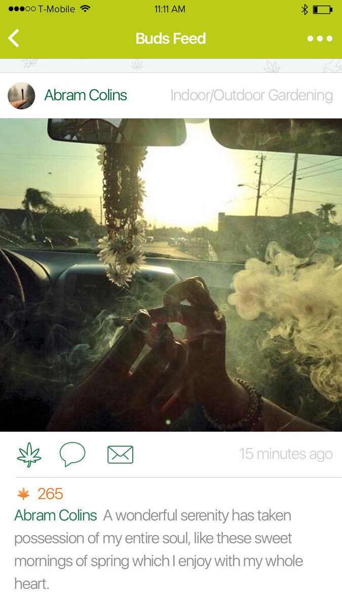 GreenSpace App (@greenspaceapp) on Twitter photo Share the love with your best buds! Tag your green minded crew. <a href="/greenspaceapp/">GreenSpace App</a> #puffpuffpass #joint #cruising #laidback ππ¨π² Share the love with your best buds! Tag your green minded crew. <a href="/greenspaceapp/">GreenSpace App</a> #puffpuffpass #joint #cruising #laidback ππ¨π²