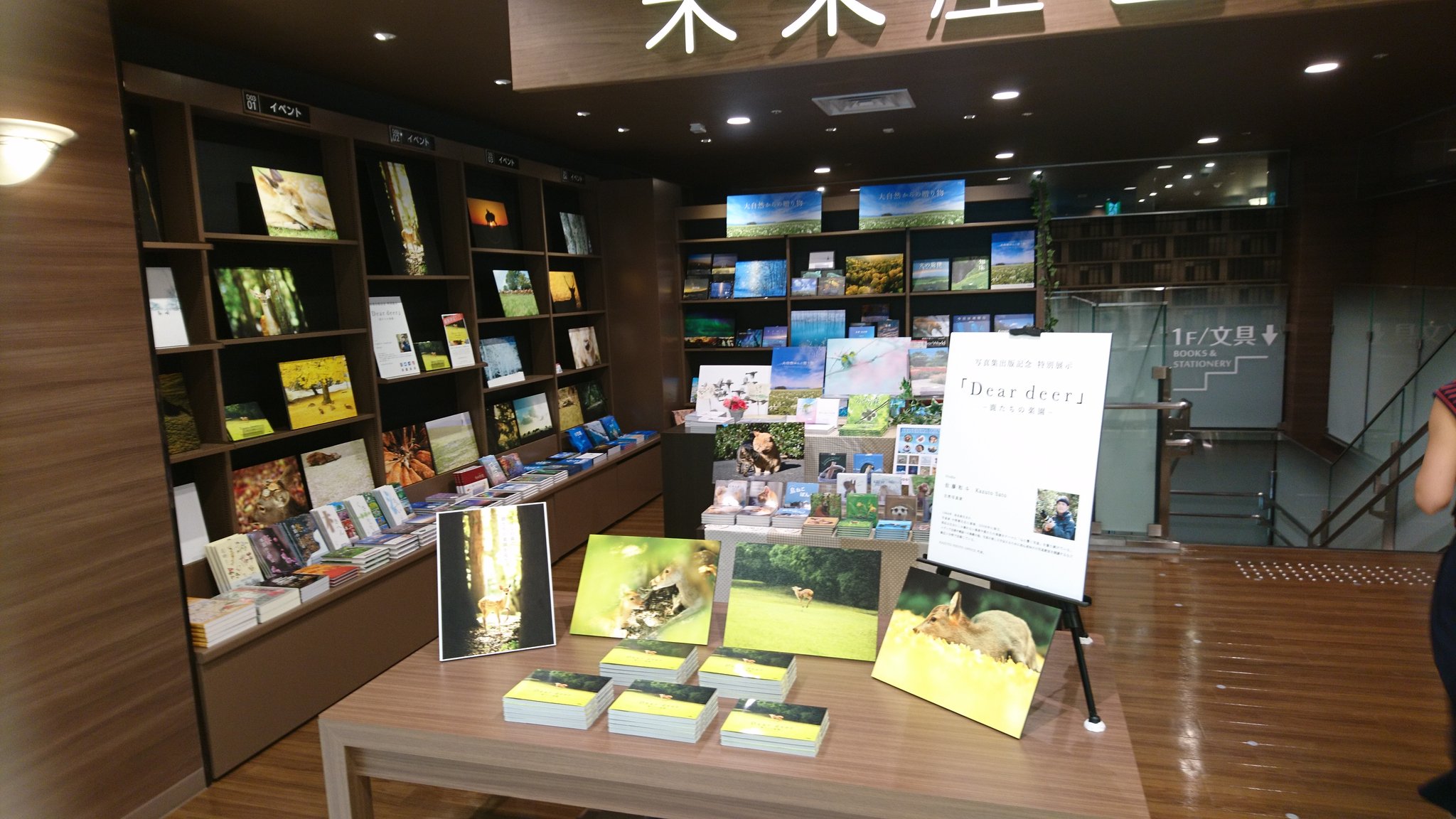 Seiseisha 写真集をつくっている会社 フェア開催中 未来屋書店芦屋店 未来屋書店モンテメール芦屋店にて 青菁社フェア Dear Deer 鹿たちの楽園フェアを開催中です お近くの方 ご興味のある方は ぜひ一度足をお運びくださいね 青菁社 フェア