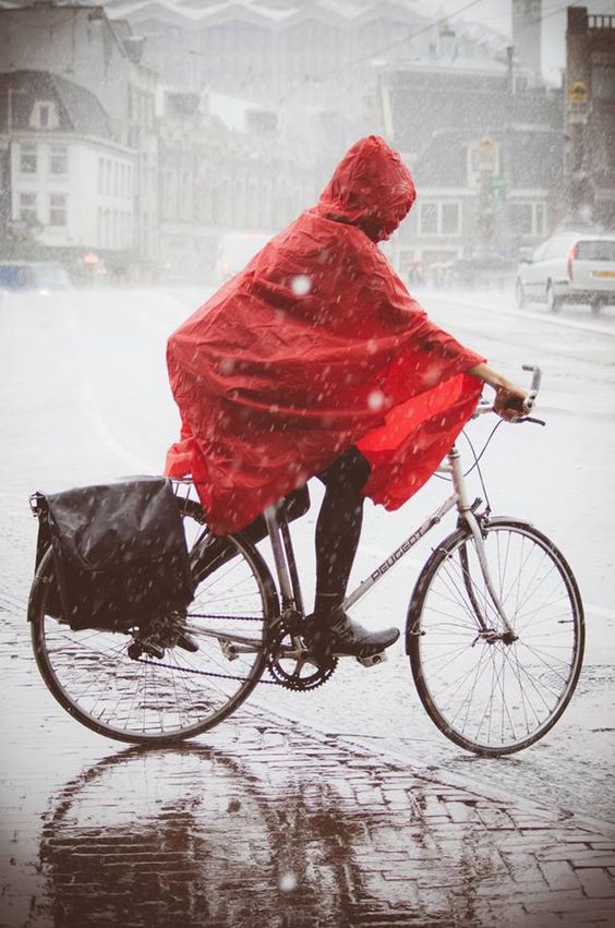 European Cyclists' Federation tweet media
