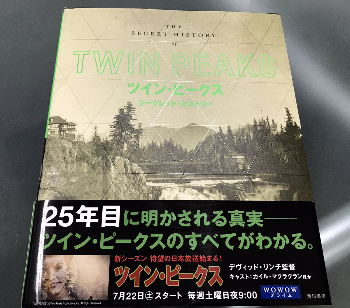 坂本雅司 世界辺境映像研究 ツインピークス シークレットストーリー 製作総指揮でデビッド リンチと共にクレジットされたドラマ ヒルストリート ブルース 等クリエイターのデビッド フロスト著作本刊行 Netflix等配信の時代を先駆けたのは 二