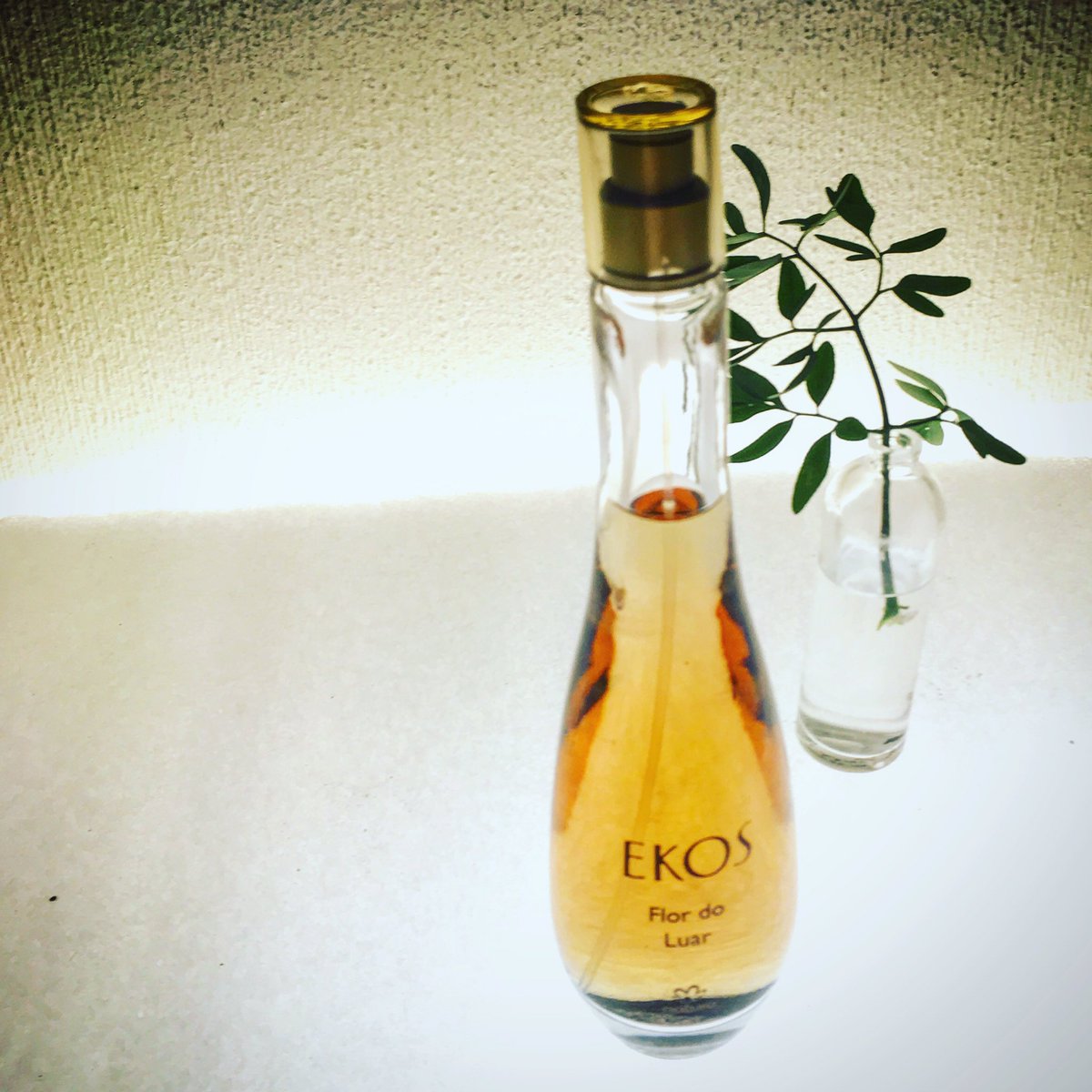 Una exquisitez!!!! ❤️👏❤️👏