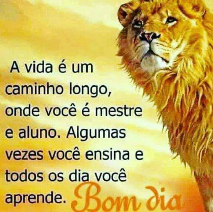 Adriana Fiori (@adrfiori) on Twitter photo 