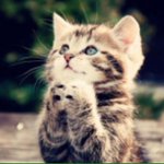 これマジ？キリスト教の「アーメン」を現代日本語訳にすると「それな」の意味らしいｗ