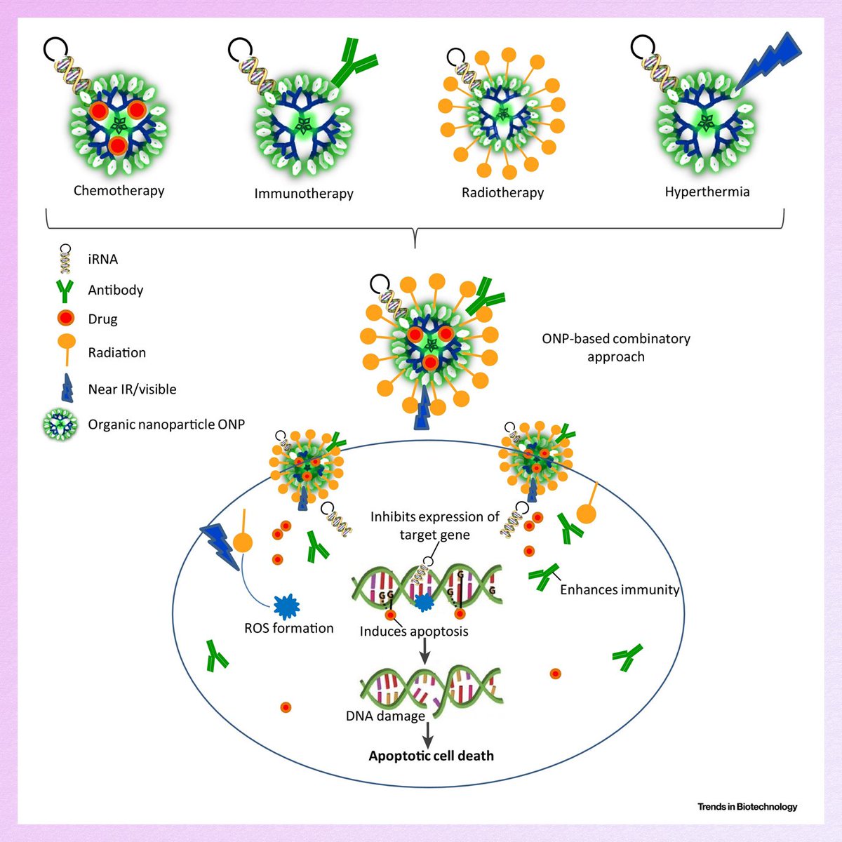 _atanas_'s tweet photo. Organic Nanoparticle-Based Combinatory Approaches for Gene Therapy
https://t.co/He7qwxYDNt
#Science #Nano #NanoTech #GeneTherapy #SciComm https://t.co/hORP3knkdF