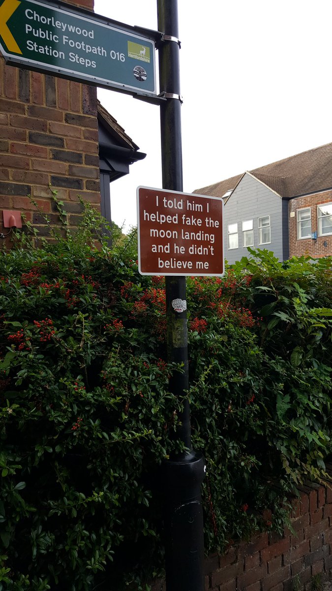 Toddfoolery tweet media