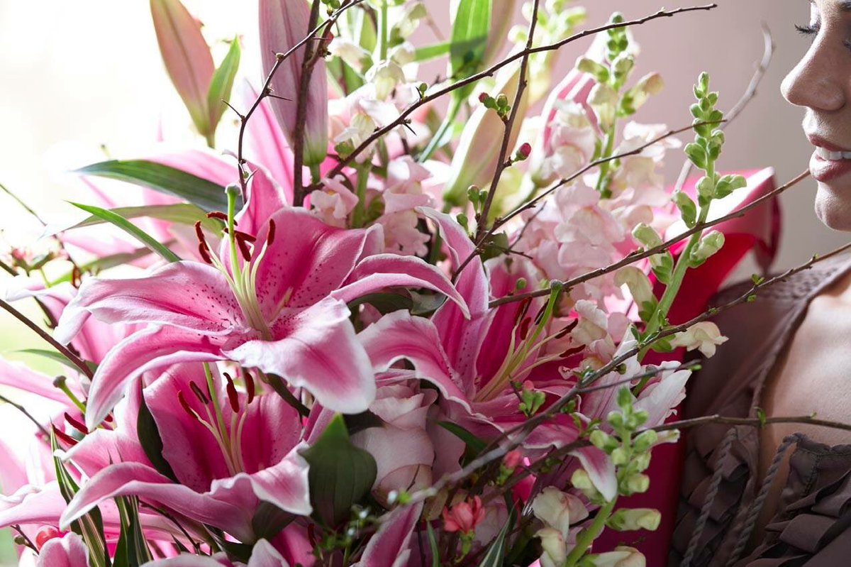 Debby de Jongh (@imanselelies) on Twitter photo 