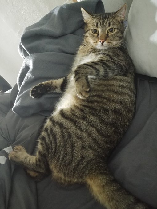 Precious perfect angelic baby boy https://t.co/CG5UZzMnG5