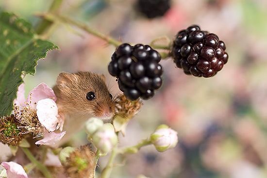 ramblingsloa's tweet image. Happy Friday everyone.
Have a great start to your weekend ❤️