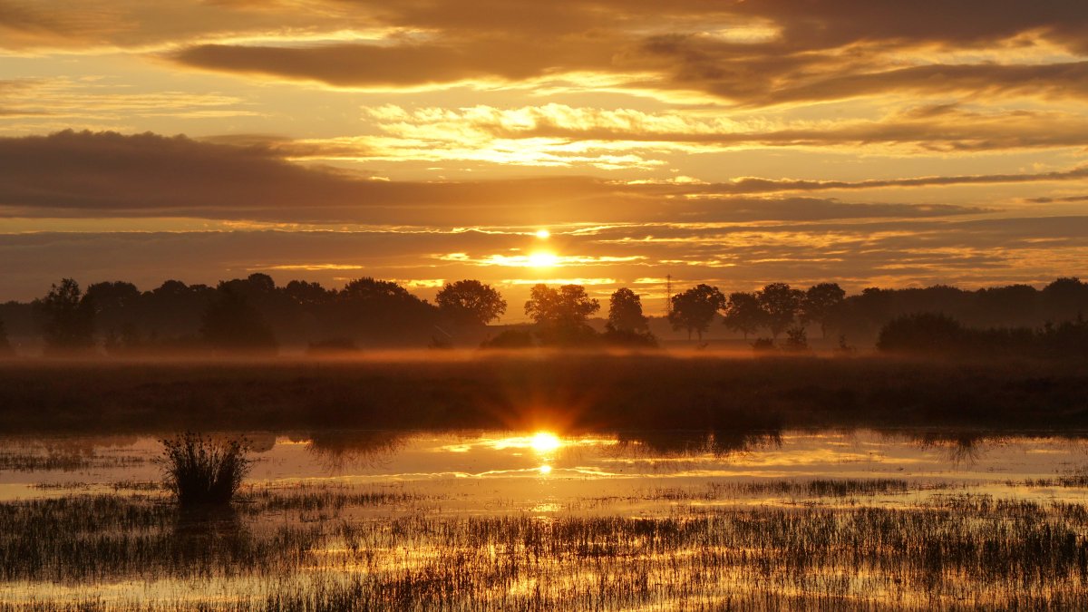 BuienRadarNL's tweet photo. Fantastische weerfoto's deze week! #weerfotovandeweek Welke is jouw favoriet? Volg ook https://t.co/4e9q8P1LZm voor de mooiste foto's! ;) https://t.co/xZf2cC7HUD