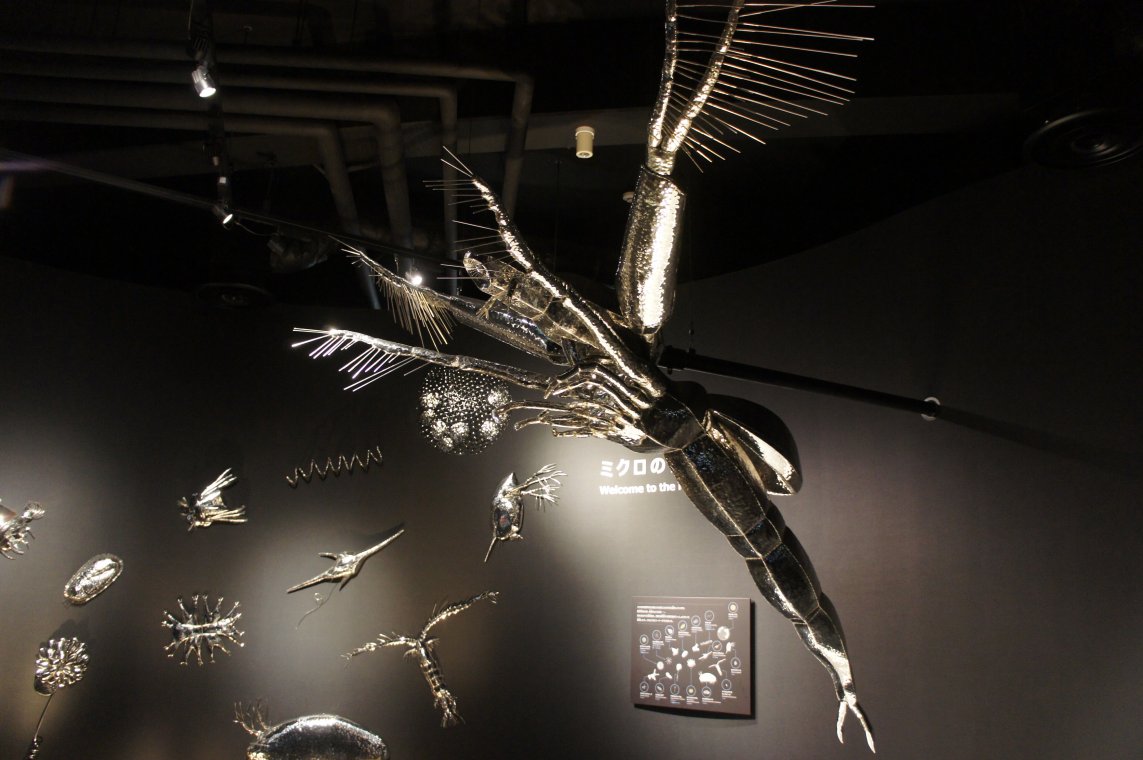 始祖鳥堂まふ M A F 長編完結 琵琶湖博物館 ノロ 超巨大ミジンコ 他プランクトンの模型は薄暗い中では透明に見えるけど実は金属製