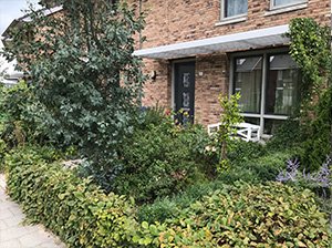 Hovenier Helpt project: Tuinvriendelijke tuin voor gehandicapte bejaarde buurvrouw.
hovenierhelpt.nl/tuinvriendelij…